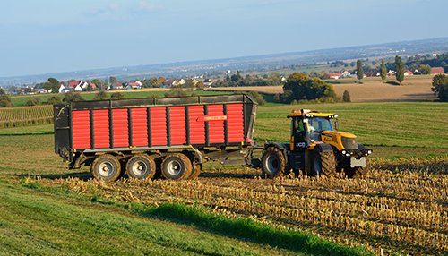 Gras- und Maisernte